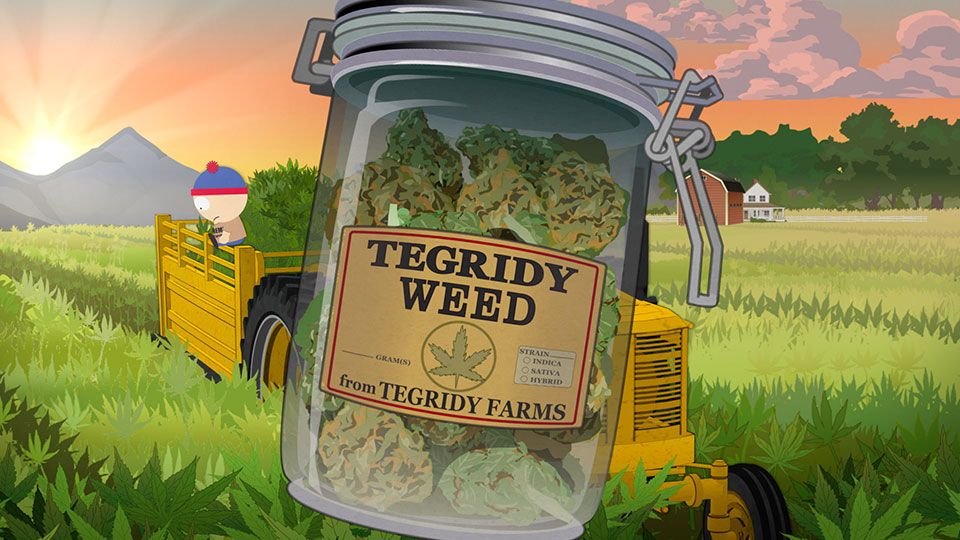 Tegridy Weed - Seizoen 22 Aflevering 4 - South Park